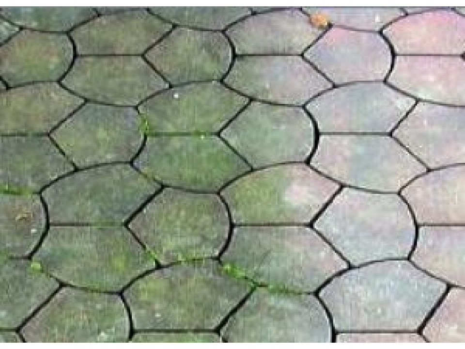 Aquaplan Dak & Muur Reiniger toegepast op bestrating met groene aanslag.